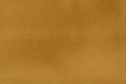 AP-ESSENTIALS 40/BAKSHI SAFFRON 112279