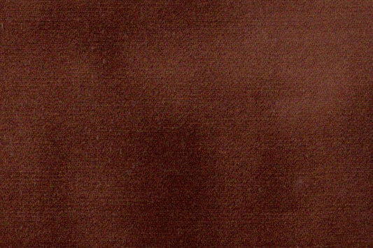 AP-ESSENTIALS 40/BAKSHI SALMON 112226