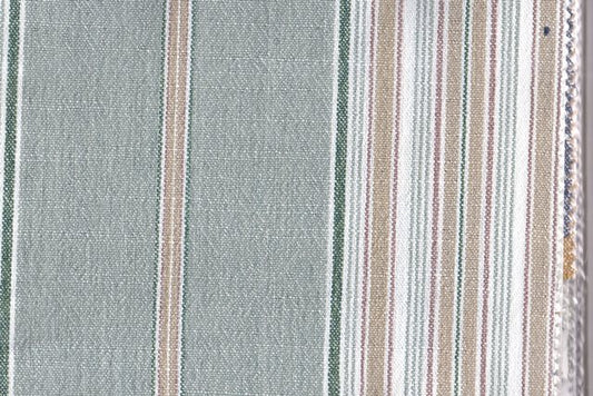 AP-Cosmo/Bayadere Pacific 111324