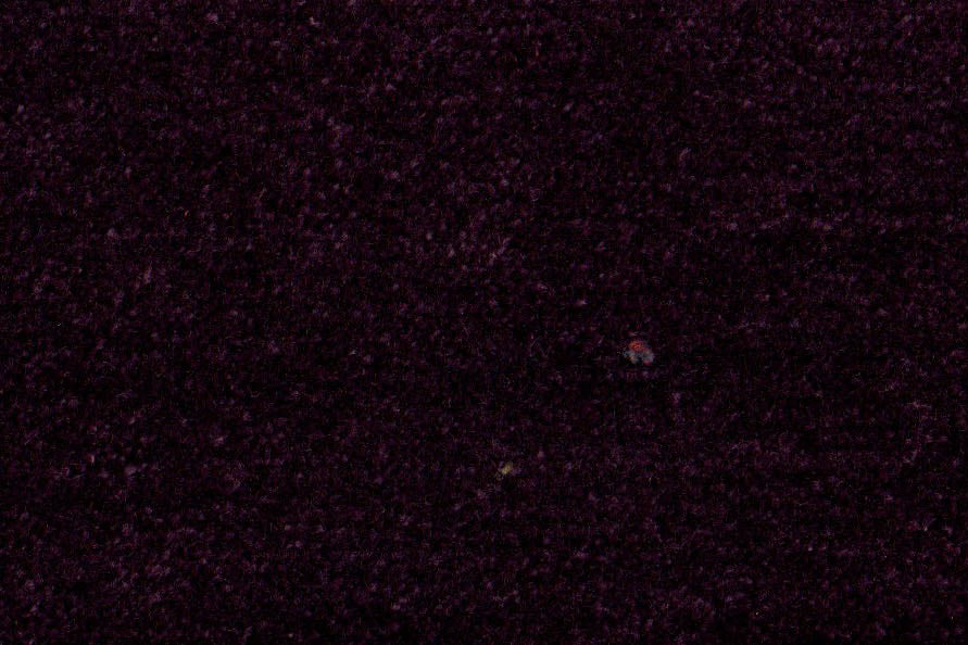 AP-Essentials 31 Benette/Benette dijon 109927