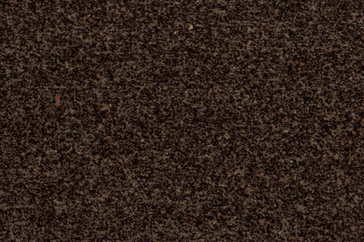 AP-Essentials 31 Benette/Benette Hickory 109935