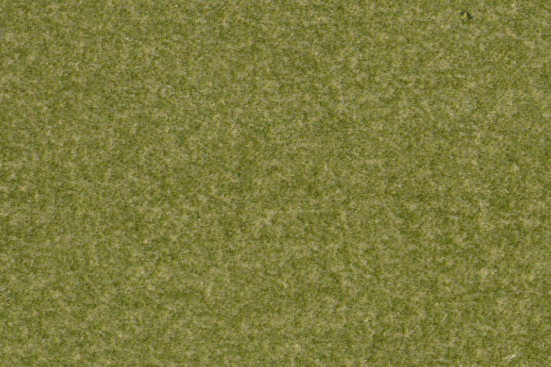 AP-Essentials 31 Benette/Benette Lime 109939