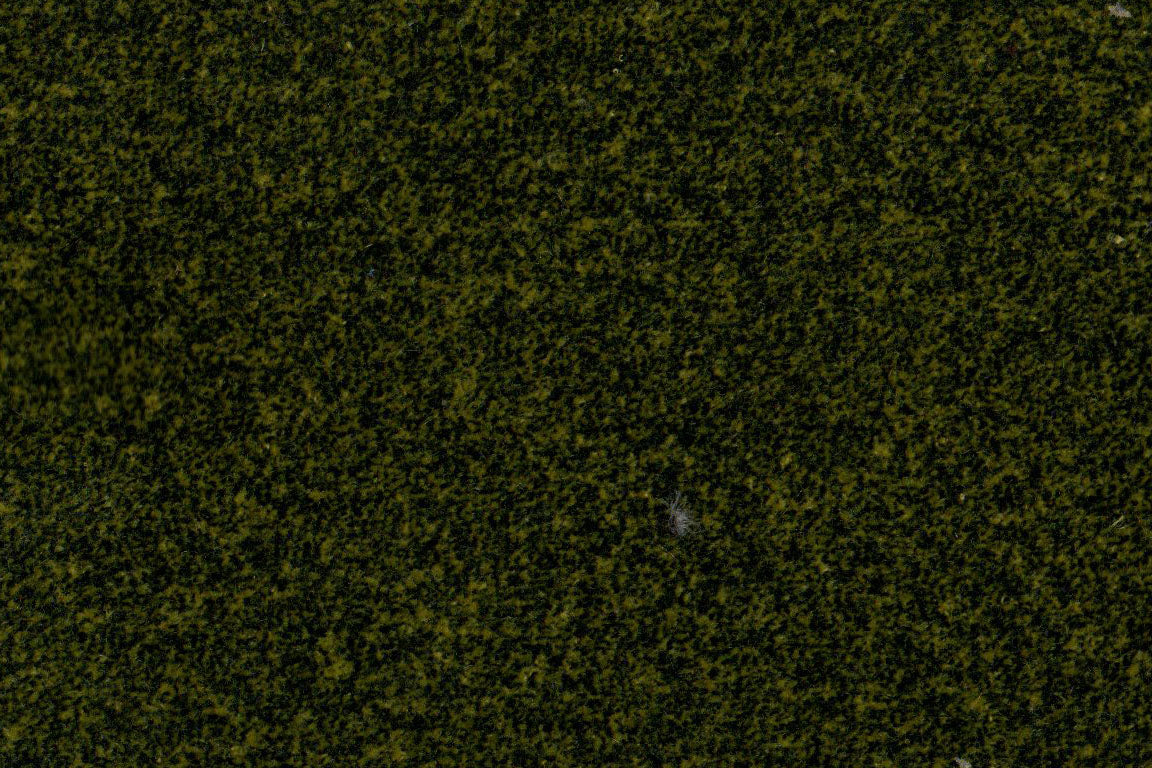 AP-Essentials 31 Benette/Benette Moss 109911