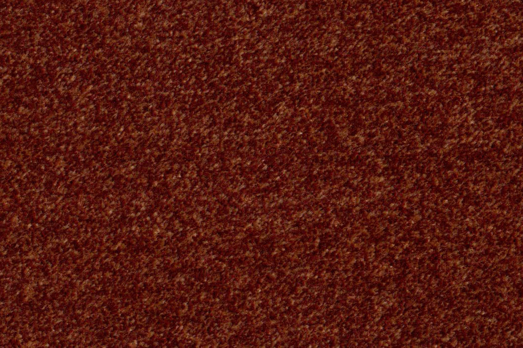 AP-Essentials 31 Benette/Benette Raspberry 109921