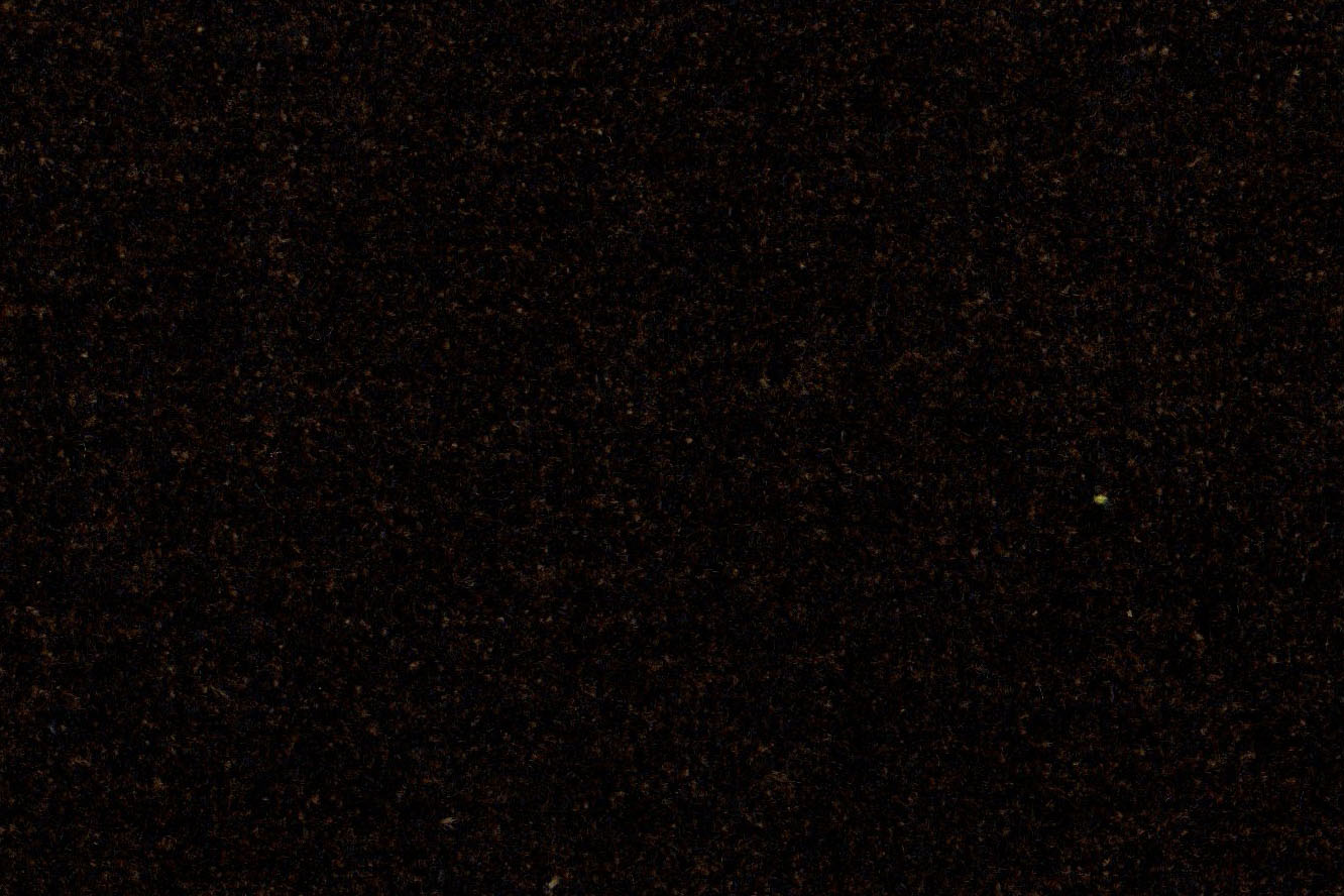 AP-Essentials 31 Benette/Benette Wood Bark 109923