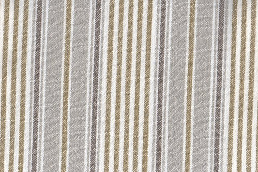 AP-Cosmo/Breton Sepia 111307