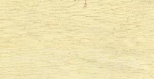 C4170