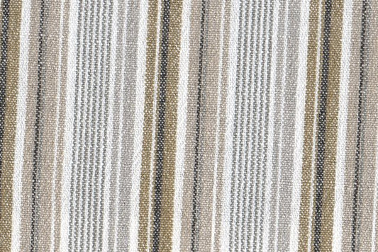 AP-Cosmo/Cabana Sepia 111304