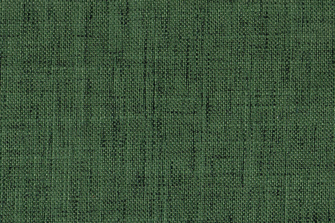 AP-Carmichael / Cam0022