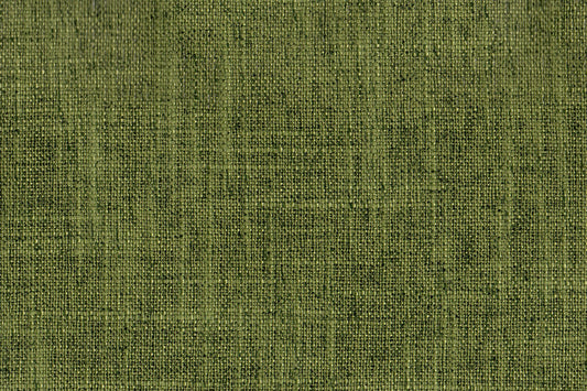 AP-Carmichael / Cam0023