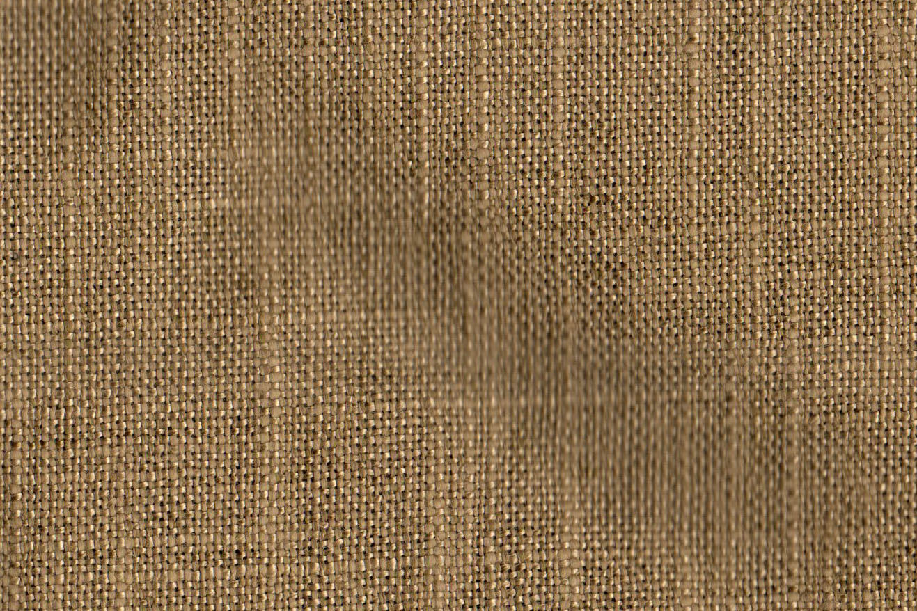 AP-Carmichael / Cam0037