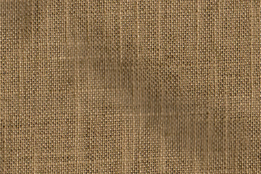 AP-Carmichael / Cam0037