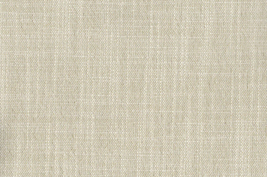 AP-Essentials 21/Clifton Sesame 106906