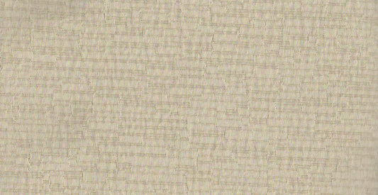 AP/Sienna/Glint White Asparagus /102306
