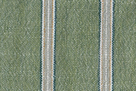 AP-Cosmo/Jermyn grass 111341