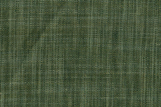 AP-CONCEPT ESSENTIALS 5/KATAN 1182 FOREST