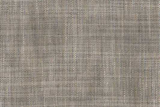 AP-CONCEPT ESSENTIALS 5/KATAN 1190 THUNDER