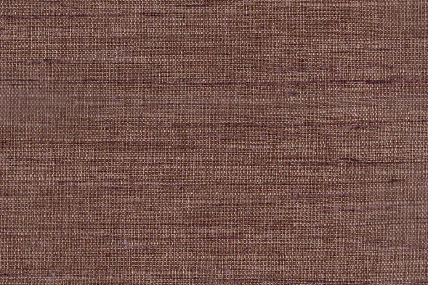 AP-Essentials 12/Muga salmon 104771