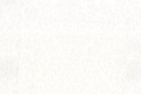 AP-NIKAVA/NABU/NIKNU01