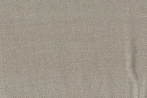 AP-OKARA/OINI/OKAO103