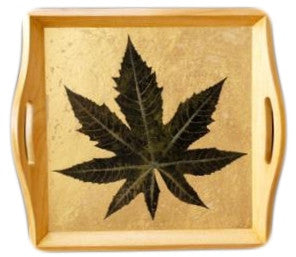DH04R16DD1 - Tray Square
