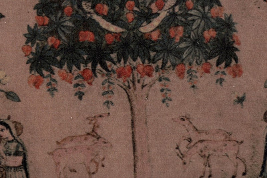AP-Hazaribagh Velvet/Shaniketan velvet SNV001