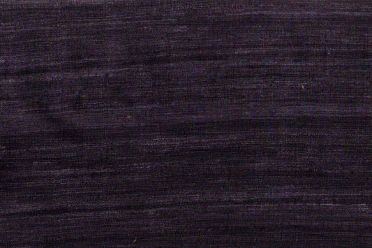 AP-Essentials 41/Sutra chicory 113958