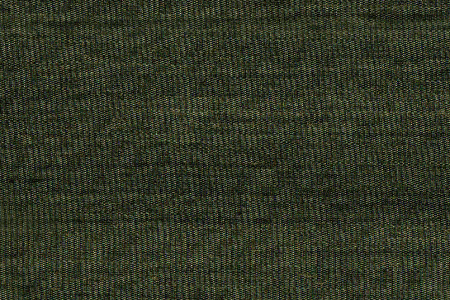 AP-Essentials 41/Sutra Kaira 113938