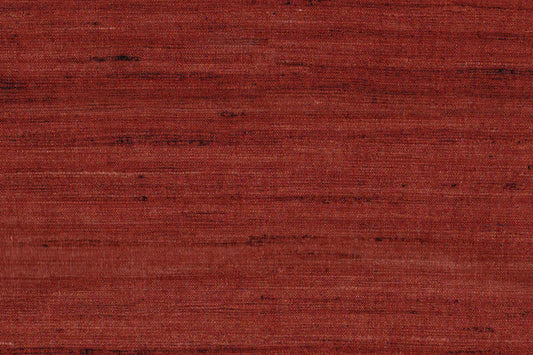 AP-Essentials 41/Sutra Palaash 113932