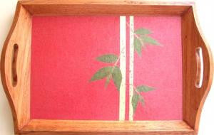 DH04M13AA1- tray Small