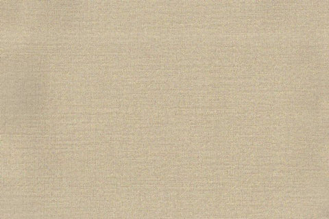 AP-TRIUMPH/TRIUM13