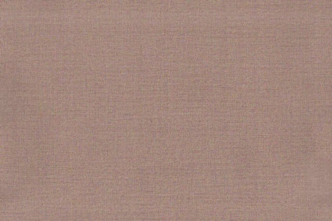 AP-TRIUMPH/TRIUM17