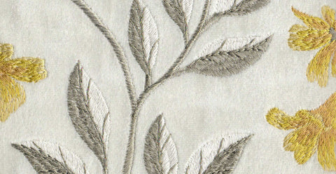 Diorella/35