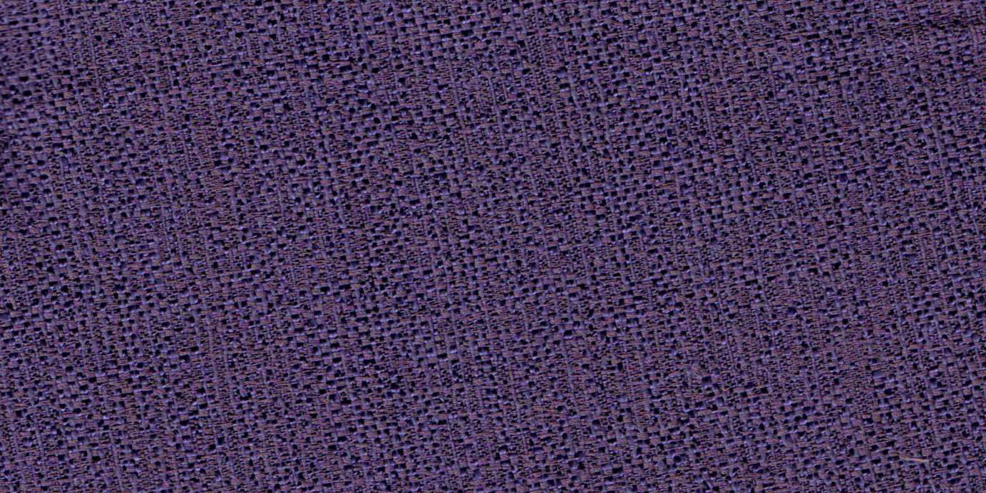 Orchid /9418/15670
