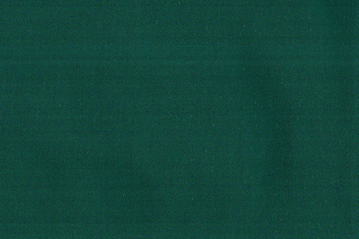 AP-ESSENTIALS 39 AIROLI/AIROLI FERN 113751