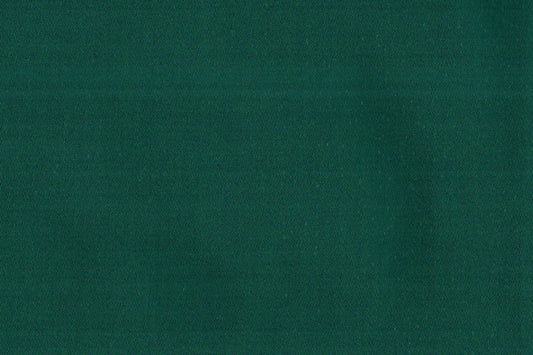 AP-ESSENTIALS 39 AIROLI/AIROLI FERN 113751