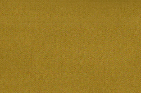 AP-ESSENTIALS 39 AIROLI/AIROLI MUSTARD 113715