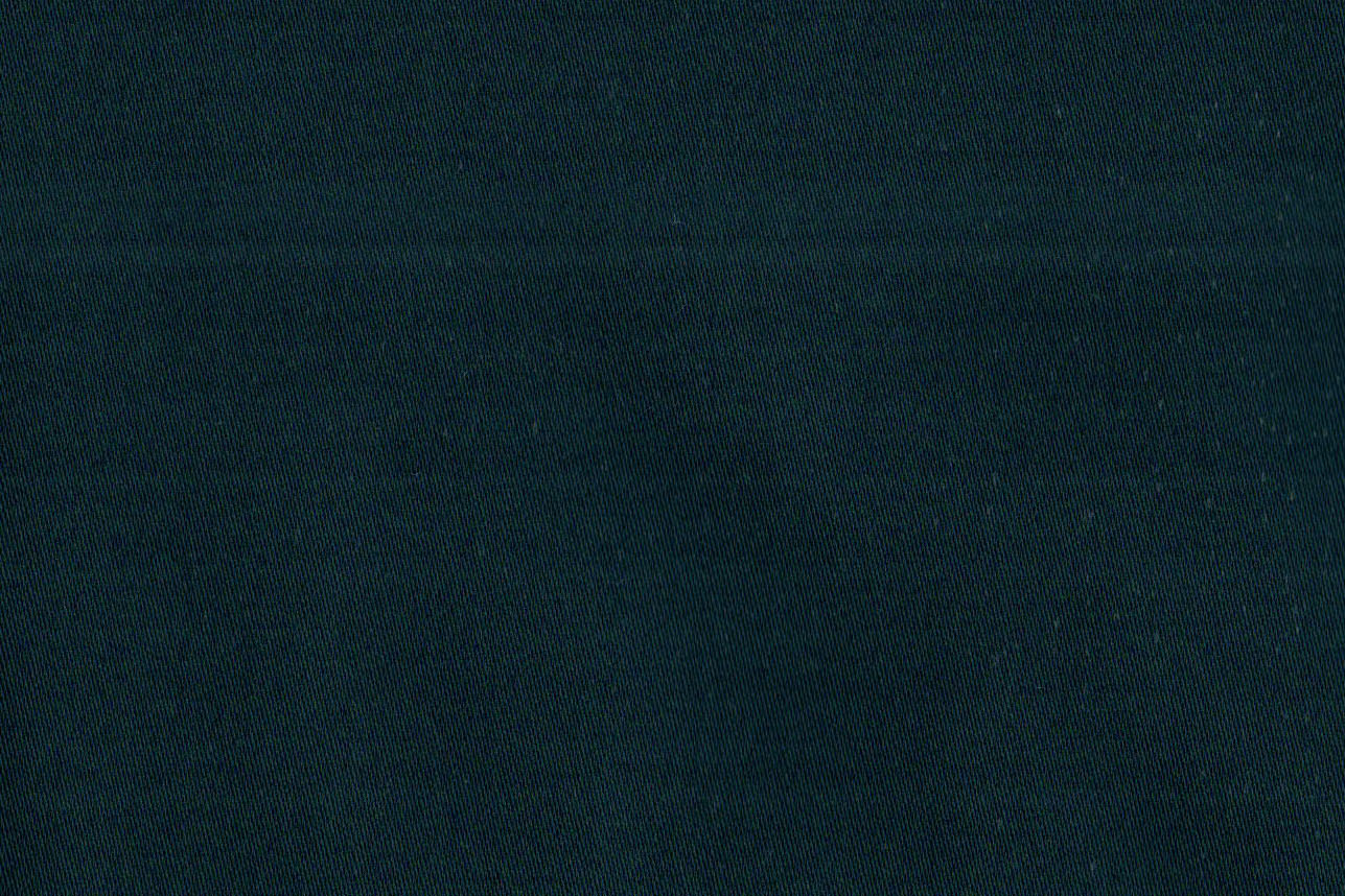 AP-ESSENTIALS 39 AIROLI/AIROLI PEACOCK 113755