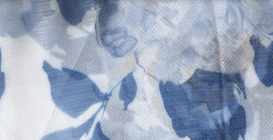 Canvas /20811/18595