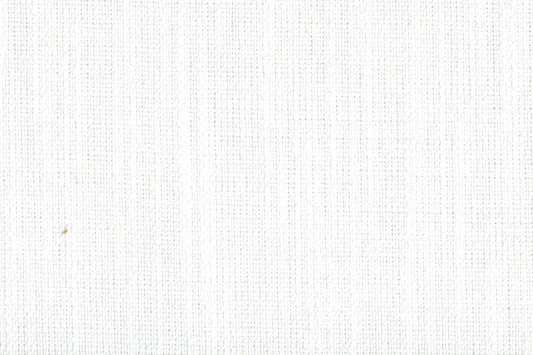 AP-Essentials 21/Clifton Daisy 106904