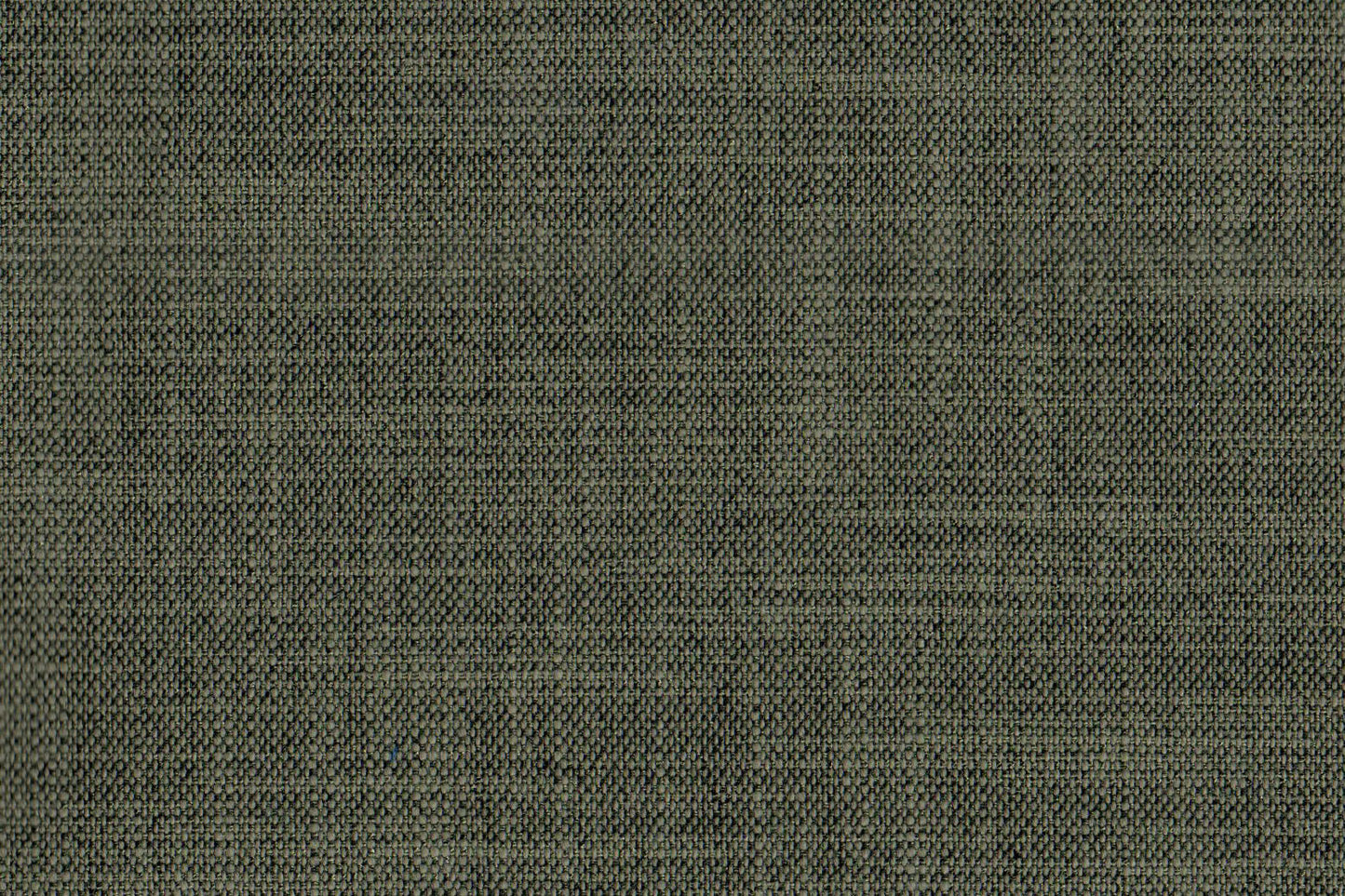 AP-Essentials 21/Clifton Thyme 106924