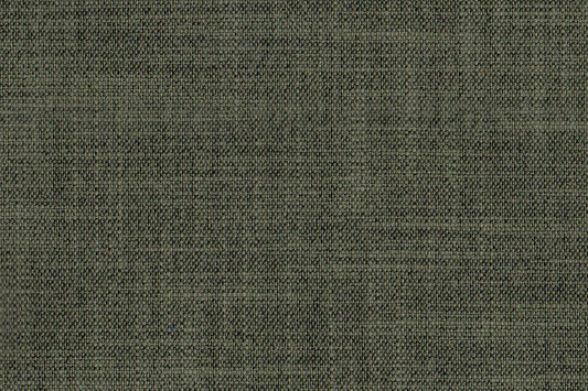 AP-Essentials 21/Clifton Thyme 106924