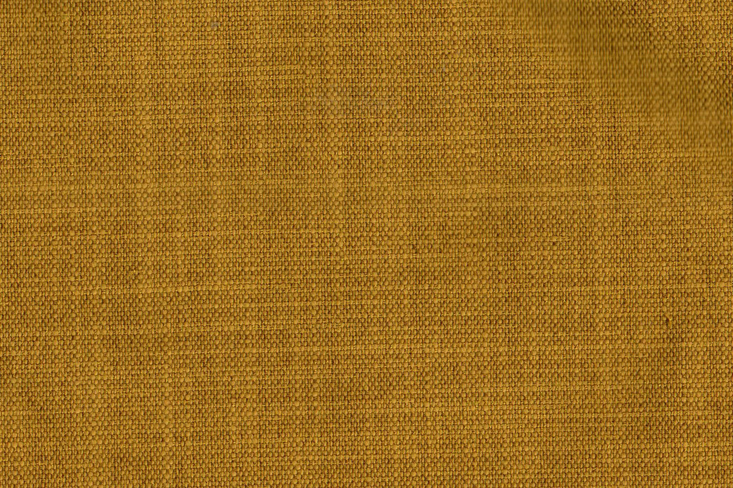 AP-Essentials 21/Clifton Moss 106936