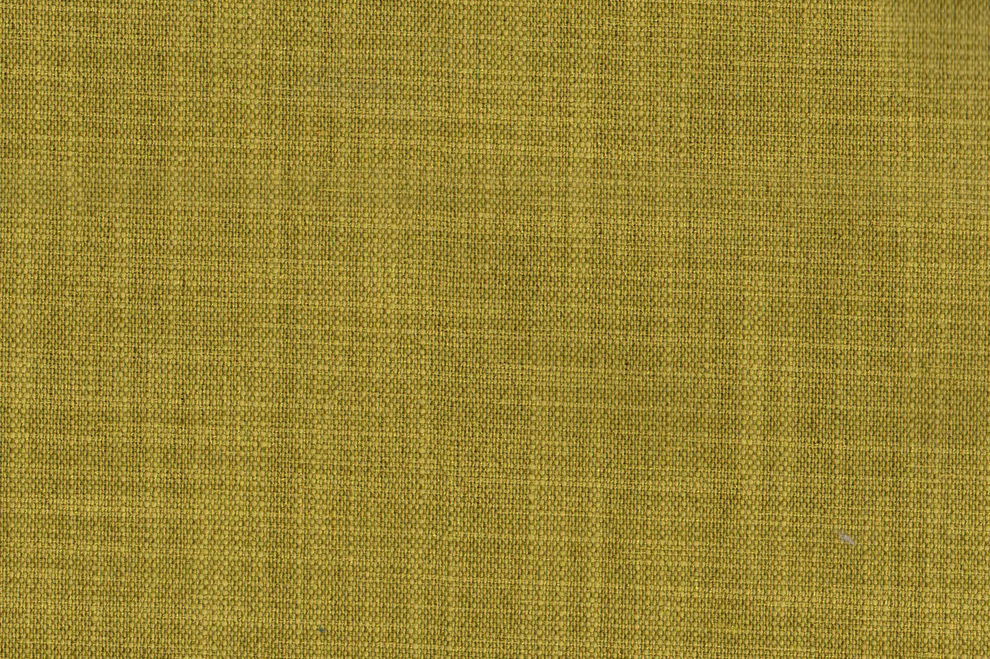 AP-Essentials 21/Clifton Zest 106935