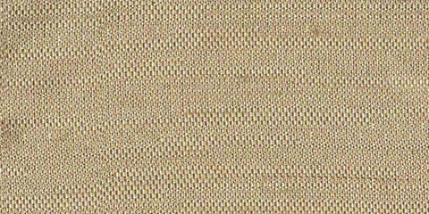 Savanna/2405/15323