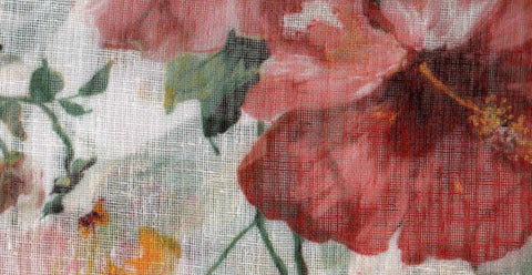 Mimosa /17914/17252