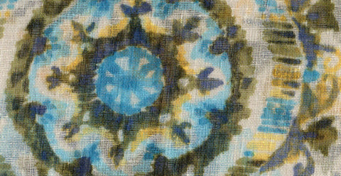 Mimosa /17917/17252