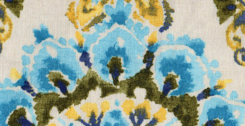 Mimosa /17918/17252