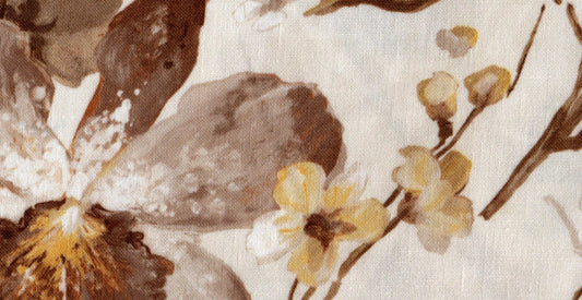 Mimosa /17920/17252