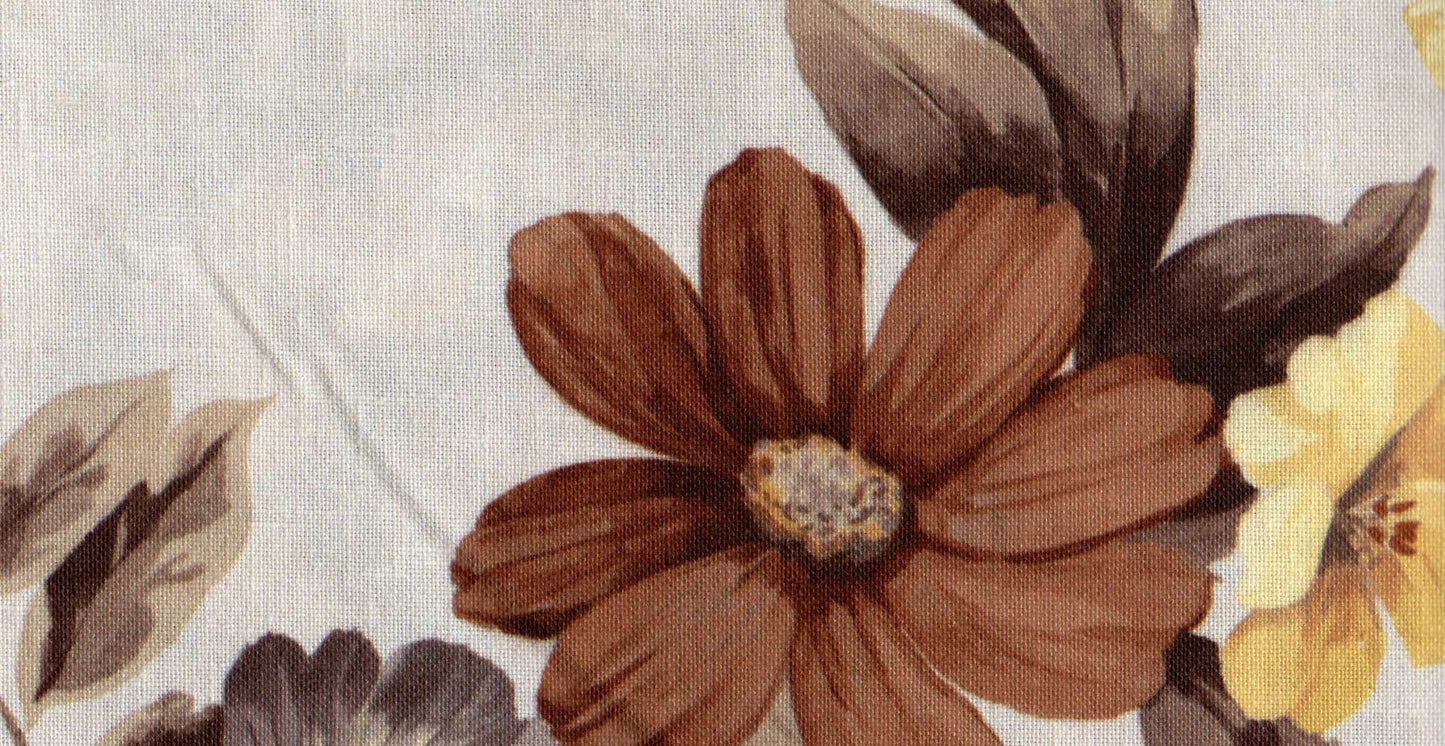 Mimosa /17924/17252